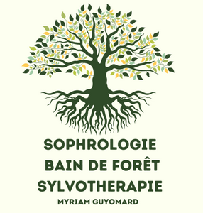 Sophrologie Sylvothérapie Bain de Forêt